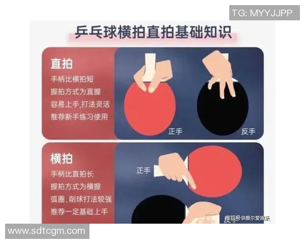 深圳乒乓球队进攻体系解析与战术运用探讨