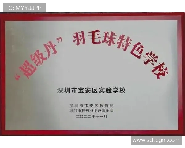 深圳羽毛球队个人能力分析与发展潜力探讨