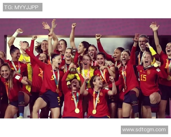 西班牙国家足球队在世界杯预选赛中的拼搏历程与荣耀追寻