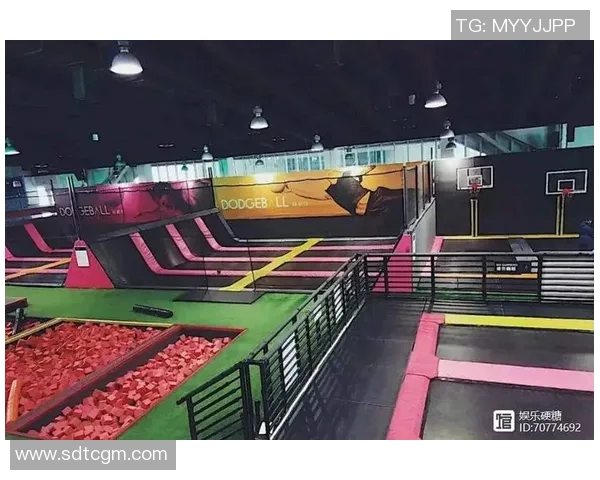 北京极限运动队比赛经验深度对比与启示分析