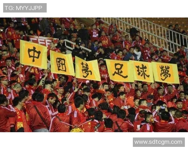 西安网球队在洲际杯积分榜上以81分稳居第一名展现强劲实力