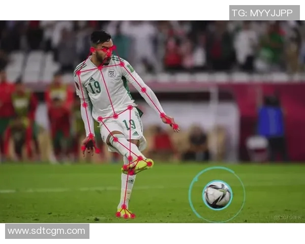 非现役足球明星回顾与成就分析的精彩旅程