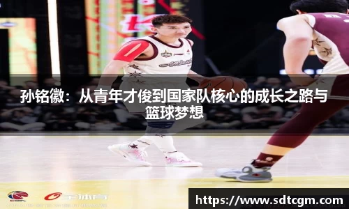 球速体育平台