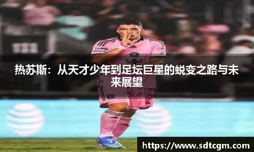 球速体育