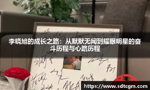 球速体育平台