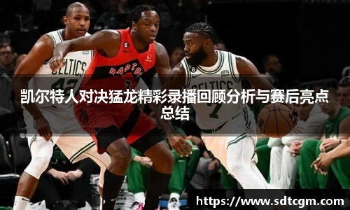 球速体育官网