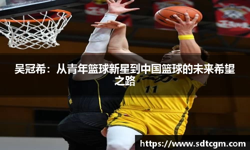球速体育APP