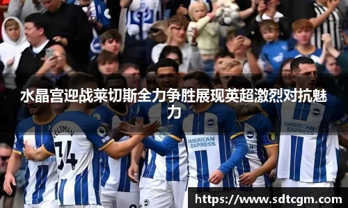 球速体育官网