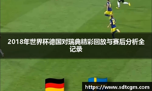 2018年世界杯德国对瑞典精彩回放与赛后分析全记录