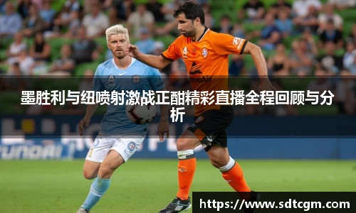 球速体育官网
