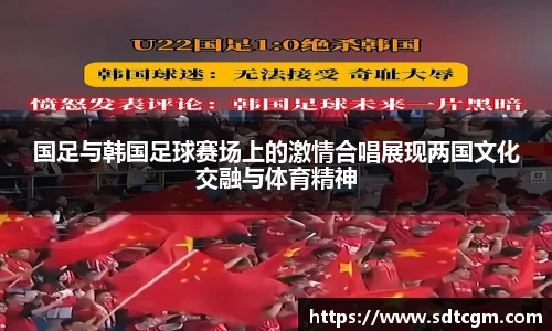 国足与韩国足球赛场上的激情合唱展现两国文化交融与体育精神