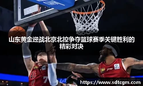 球速体育官网