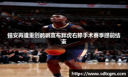 锡安再遭重创鹈鹕宣布胖虎右膝手术赛季提前结束