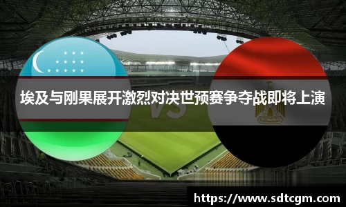 球速体育平台